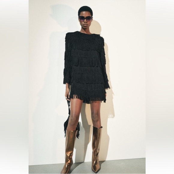 Zara Dresses & Skirts - Zara fringe mini dress